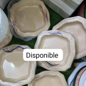 Plat cassable (Douzaine) - Couleurs Disponibles : Grise, Marron  - Pour Femme, Homme, Enfant-Ref : 18587