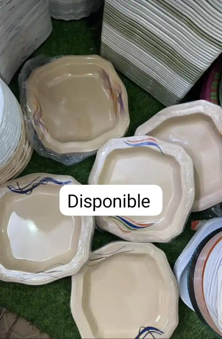 Plat cassable (Douzaine) - Couleurs Disponibles : Grise, Marron  - Pour Femme, Homme, Enfant-Ref : 18587