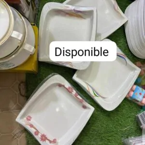 Plat cassable (Douzaine) - Couleurs Disponibles : Blanche, Grise, Verte  - Pour Femme, Homme, Enfant-Ref : 18593