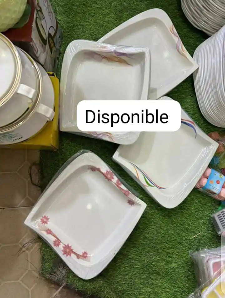 Plat cassable (Douzaine) - Couleurs Disponibles : Blanche, Grise, Verte  - Pour Femme, Homme, Enfant-Ref : 18593