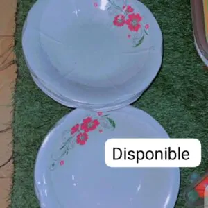 Plat cassable (Douzaine) - Couleurs Disponibles : Bleue  - Pour Femme, Homme, Enfant-Ref : 18603